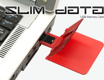 カード型USBメモリー スリムデータ